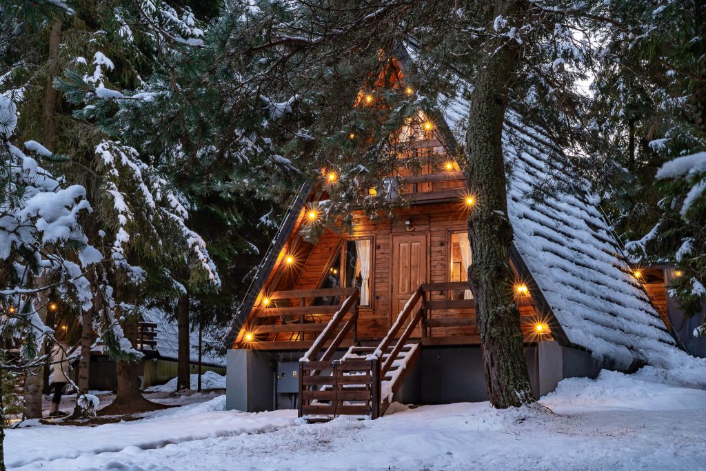 lesna sielanka zimą