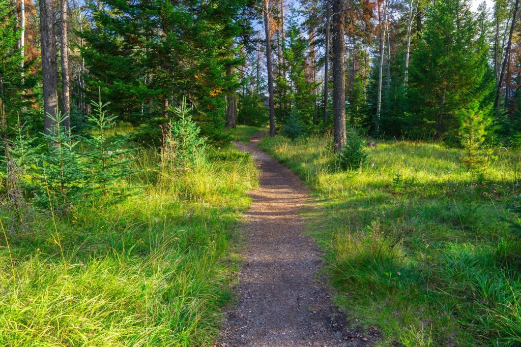 szlak na górę szczebel